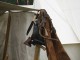 Thumbs/tn_Tohrn western event 090.jpg